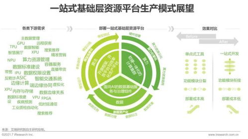 2021年中國人工智能基礎(chǔ)層行業(yè)研究報告 人工智能基礎(chǔ)軟件開發(fā)